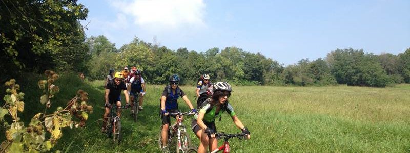 News del 14 settembre -2