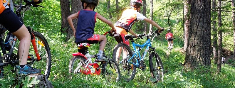 Dettagli del camp estivo per ragazzi