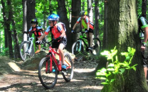 News del 16 febbraio 2021