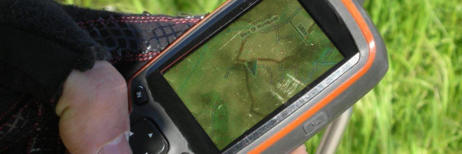 News del 13 novembre 2017