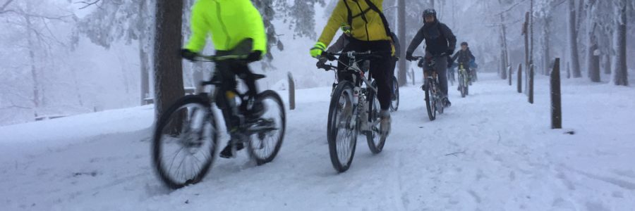 News del 22 febbraio